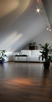 haus-laminat2 fl