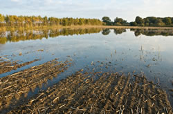 hochwasser fl