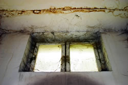 schimmel-fenster_fl