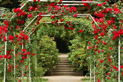 treppe-garten_fl