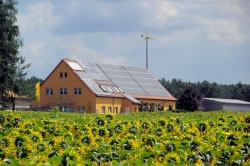 windenergie3_fl